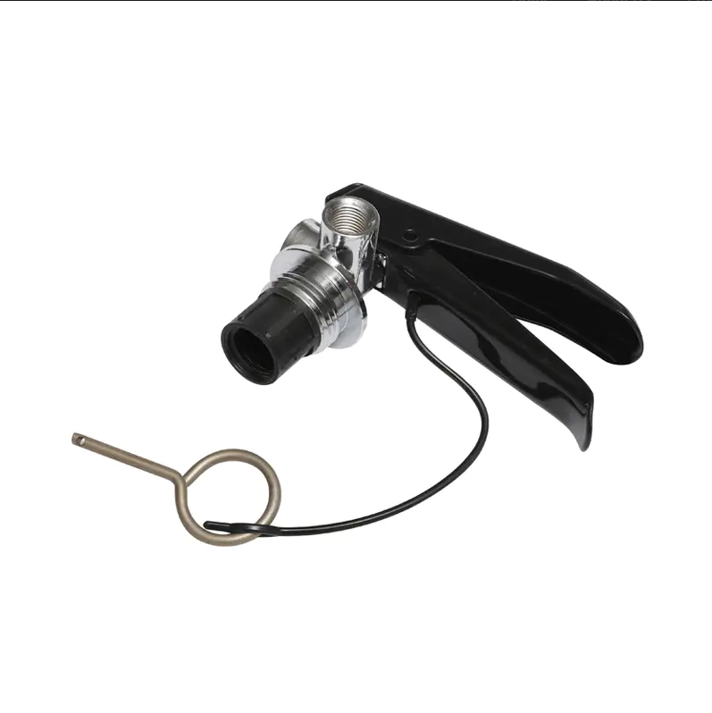 Vai trò chính của van khô trong bình chữa cháy bột khô là gì? Làm thế nào để nó kiểm soát việc giải phóng và phun các tác nhân chữa cháy bột khô?